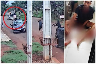 CONHEÇA O LUIZINHO 7 VIDAS