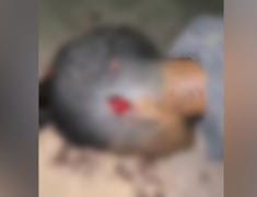 Homem é morto a tiros em Ponta de Pedras, Goiana PE