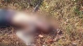 Homem é encontrado morto a pauladas em Paulista