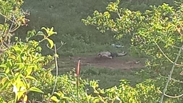 Jovem é executado com requintes de crueldade em Lauro de Freitas