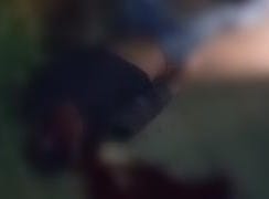 Homem morre em acidente de moto entre Paulo Ramos e Boa Vista do Gurupi, no Maranhão