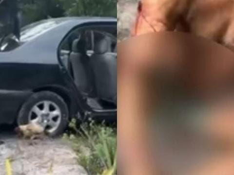 Argentino e baiano são sequestrados e torturados em Itacimirim, Bahia