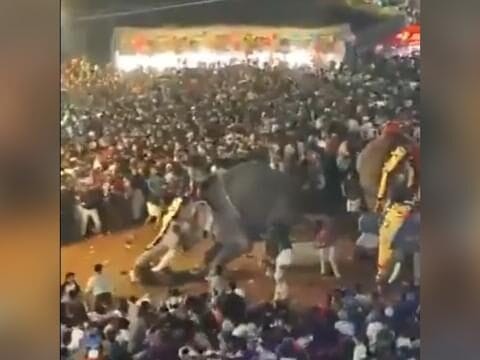 Elefante Causa Pânico e Deixa 17 Feridos Durante Festival em Malappuram