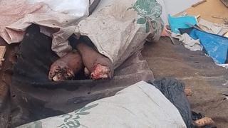 Homem é encontrado esquartejado em lixeira no Distrito Industrial de Manaus