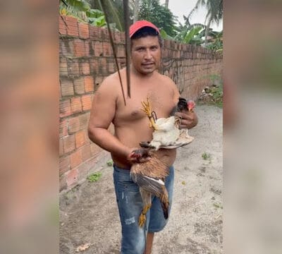 Homem é agredido após roubar galinhas no Pará