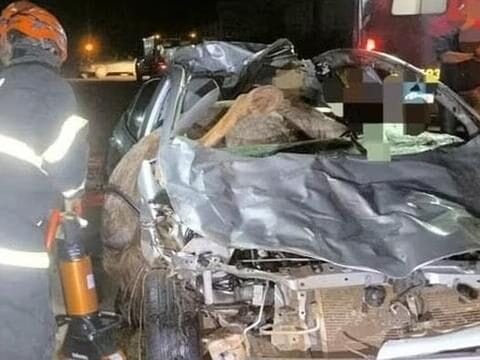Motorista morre após colisão frontal com cavalos em rodovia de MT