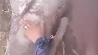 Homem tem dedos decepados a golpes de machado em Manacapuru