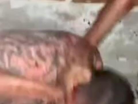 Homem suspeito de roubo é morto a tiros em Igarassu