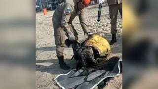 Dois corpos são encontrados esquartejados na Praia da Bica, na Ilha do Governador, Rio de Janeiro