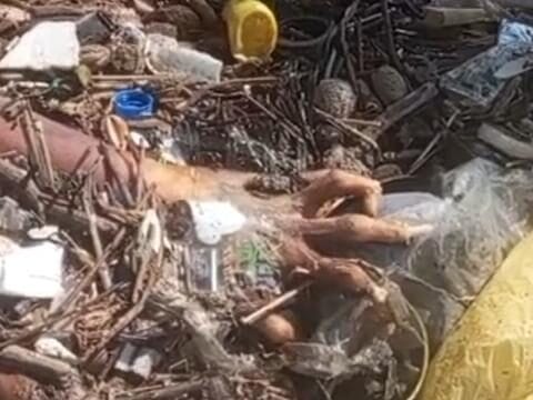 Braço e perna são encontrados em área de lixo na Ilha do Governador, no Rio de Janeiro