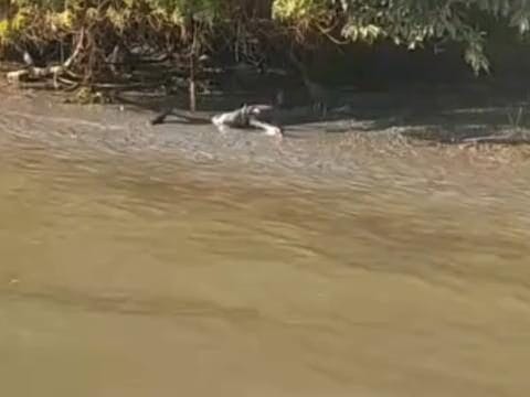 Dois corpos são encontrados em pontos diferentes de um rio em Itaguaí, no Rio de Janeiro