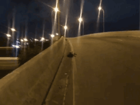 Homem é encontrado morto sobre barreira de viaduto em João Pessoa, Paraíba