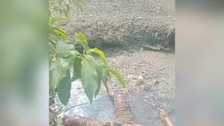 Corpo é encontrado em decomposição dentro de açude no bairro Santo Dumont, em Maceió