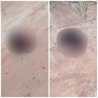 Casal é encontrado decapitado na zona rural de Porto Seguro, na Bahia