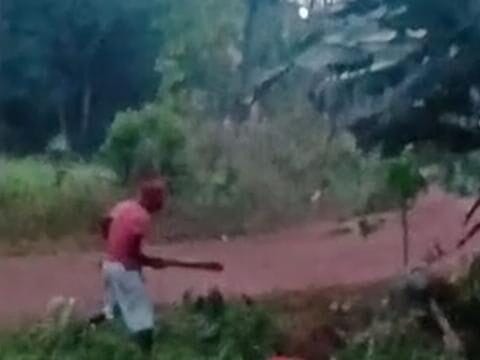 Homem é morto a pauladas em povoado de Bequimão, no Maranhão