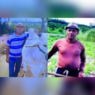 Dois homens morrem eletrocutados em Sátiro Dias, BA