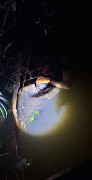Corpo de mulher é encontrado no rio São Domingos com rosto devorado por peixes
