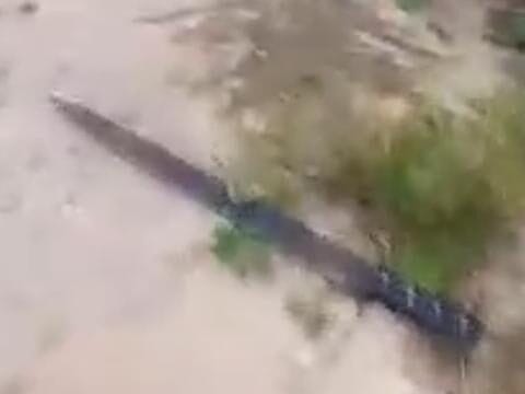 Homem é morto a tiros e golpes de facão em Pindaré Mirim, no Maranhão