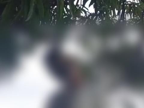Homem é encontrado morto enforcado em sítio de Itambé (PE)