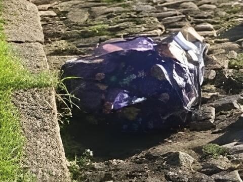 Restos mortais de mulher são encontrados dentro de sacola no bairro Santo Antônio, em Porto Alegre