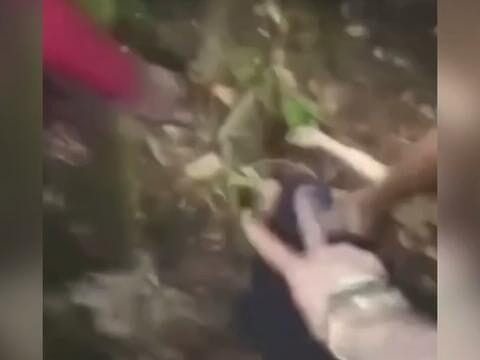 Homem é executado em área de mata na Zona Leste de Manaus