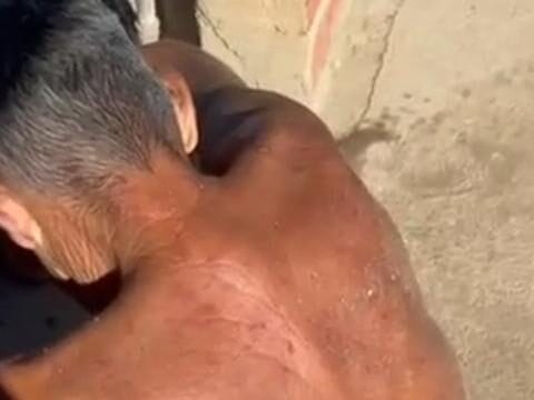 Idoso é atacado por abelhas em Russas (CE)