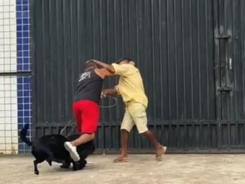 Briga entre dois homens acaba envolvendo até cachorros