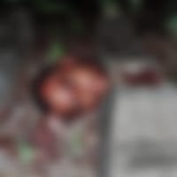 FOTOS: Homem é encontrado decapitado no Cabo de Santo Agostinho