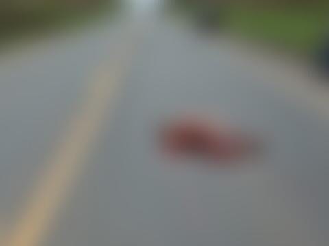 Homem morre atropelado na BR-101 em Conceição da Barra