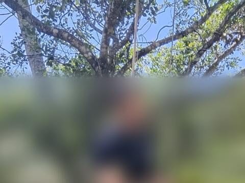Homem é encontrado morto por enforcamento em área de mata em Ilhéus