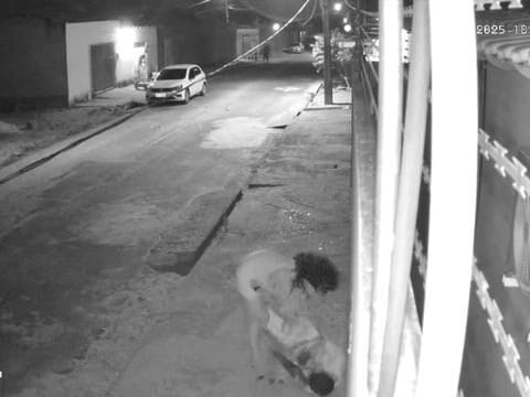 Mulher mata o próprio irmão a facadas após briga familiar em Teresina