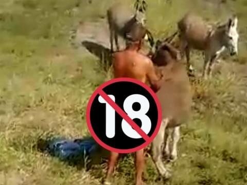 Idoso é flagrado em ato de abuso contra animal em área rural