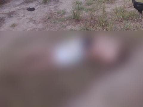 Corpo decapitado é encontrado em Porto Calvo