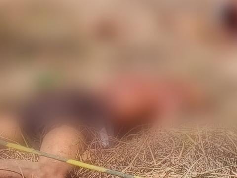 Corpo não identificado com tornozeleira é encontrado executado em estrada no Conde (PB)