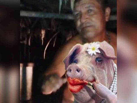 Homem deixa esposa em casa e vai passar a véspera de Natal com uma porca na Paraíba