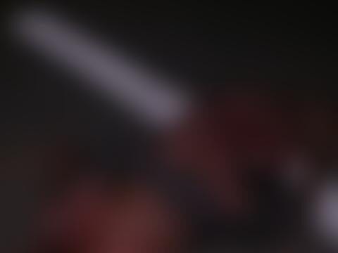 Ciclista morre atropelado e tem corpo dilacerado na BR-101 em Jequiá da Praia