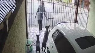 Homem tenta furtar objeto de garagem com galho e é mordido por cães