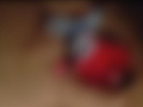 Homem é morto a golpes de facão após se envolver com mulher casada em Santo Antônio de Jesus (BA)