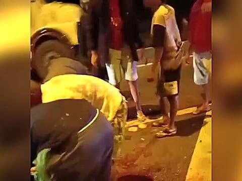 Populares agem como zumbis e retiram carne de bois mortos após boiada invadir pista em Tanguá (RJ)