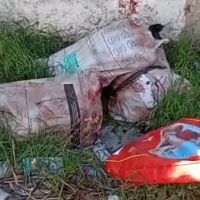 Corpos esquartejados são encontrados em sacos plásticos em posto desativado na Vila Kennedy, Zona Oeste do Rio