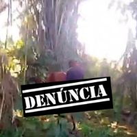 Homem é flagrado praticando zoofilia contra uma égua em área de mata no Rio de Janeiro